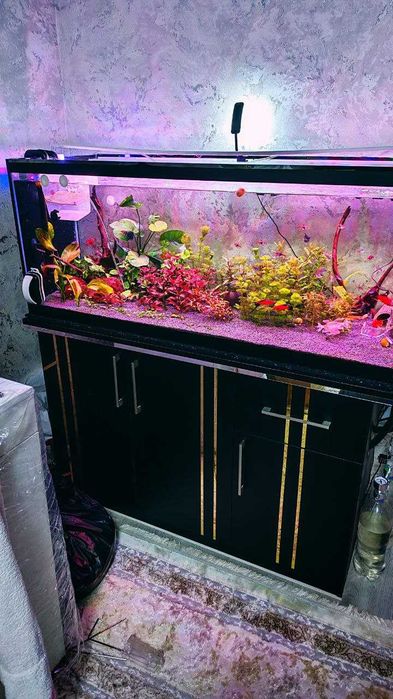Продается Аквариум с тумбой