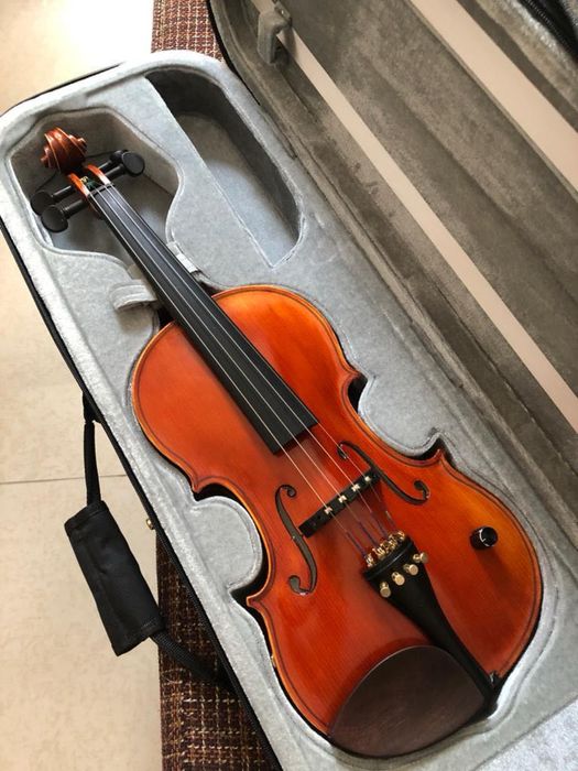 Vioara electrica Eva Maestro