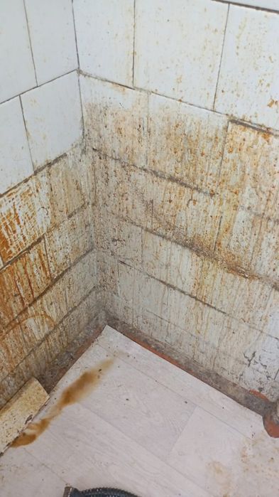 Предоставляем услуги клининга