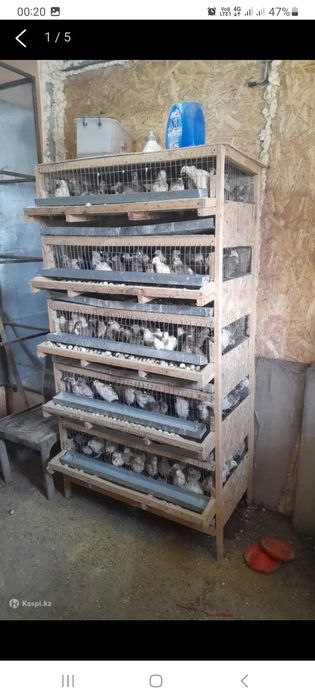 Перепелка оборудования