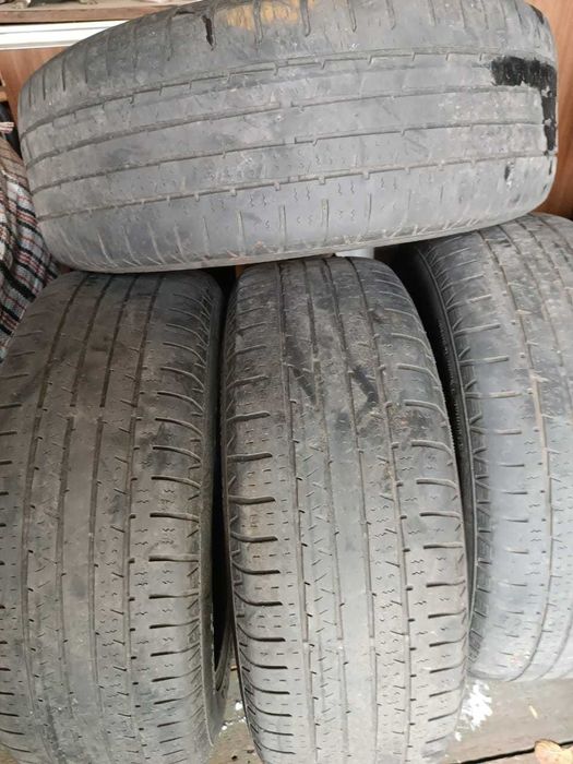 шины летние кордиант