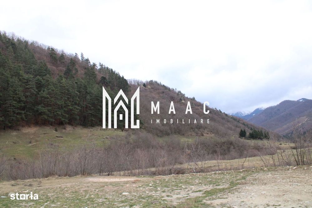 Pământ I Fereastră către Eternitate în  Transilvania