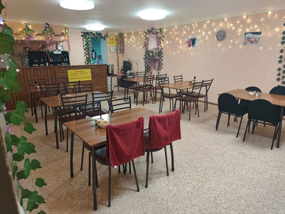 Действующий бизнес