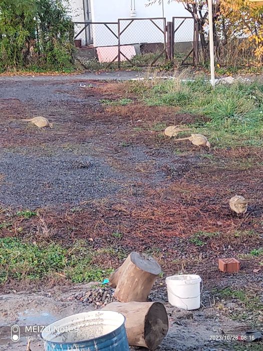 Дом милый дом продам