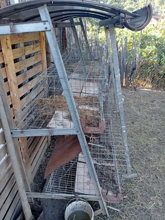 Cușca iepuri din fier