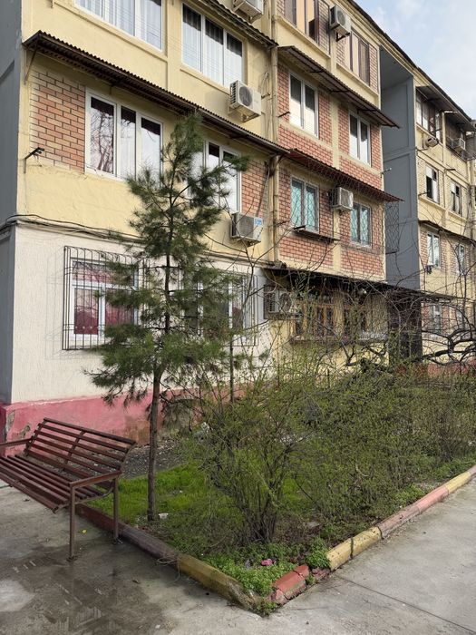 Аренда квартира 1/4/4 Лисунова, Авиасозлар, Кашыдева