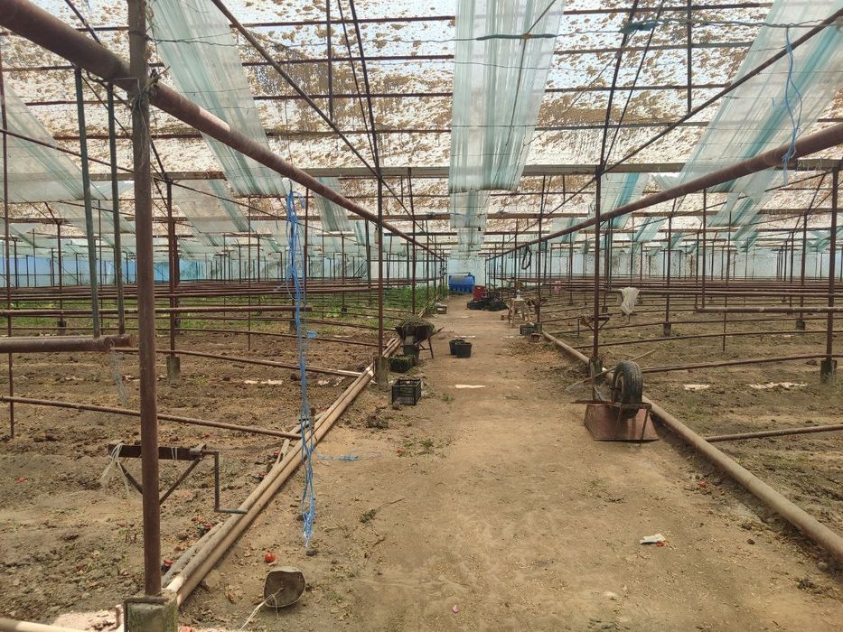 Теплица сотилади