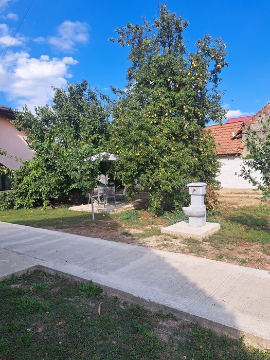 Casa de vanzare s+p+m