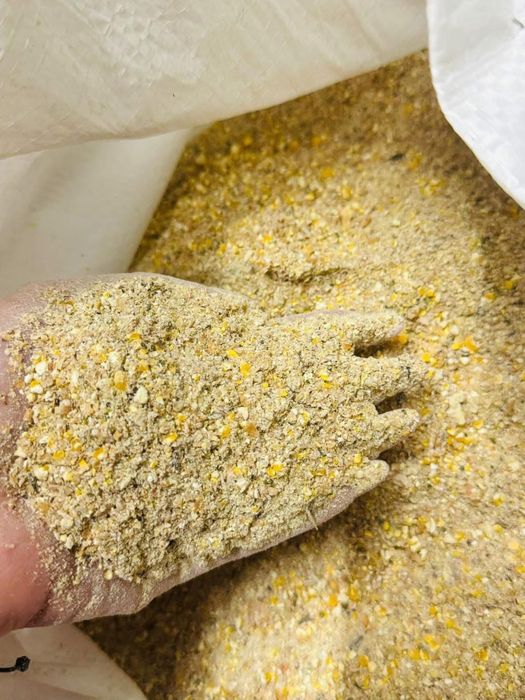 Granule / brizura starter pui crestere gaini ouatoare