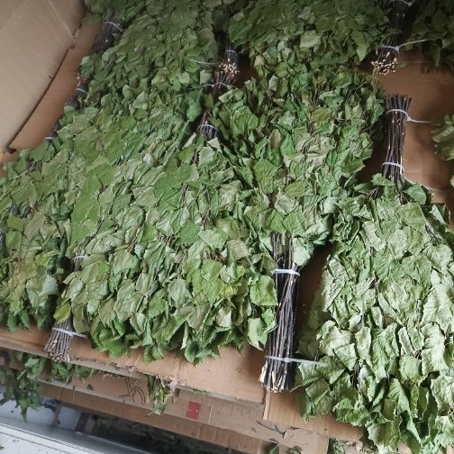 Веник березовый для бани Астана