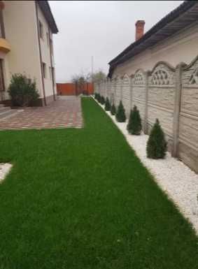 Gazon Rulou si sisteme de Irigare
