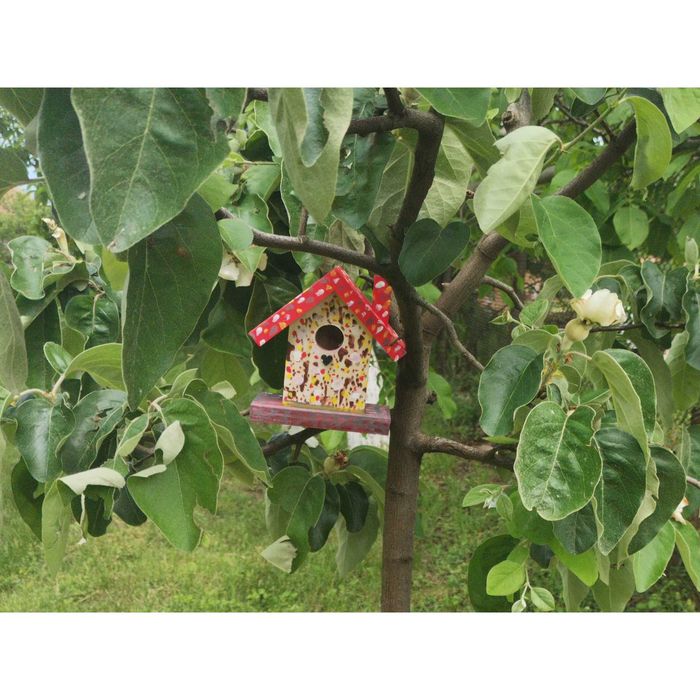 Декоративната къща за оцветяване, къщичка за птици - декоративна