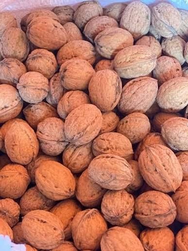 Vând 160 kg Nuci