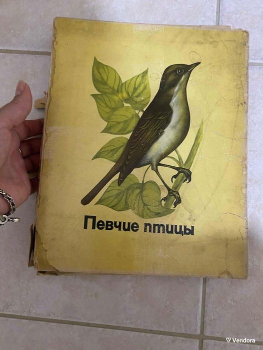 Комплект руски кибрити с птици