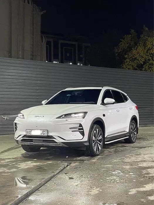 BYD чемпион смарт 605 km