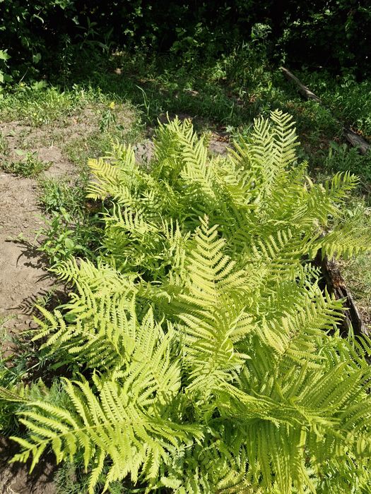 Продам дачу садоводство Металлург