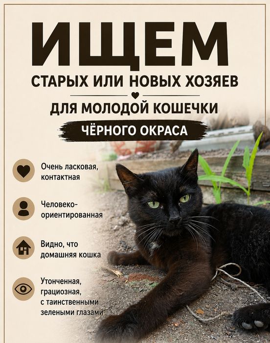 Подросток ищет дом