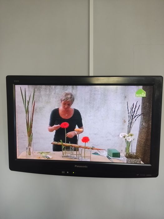 TV  Panasonic Малайзии