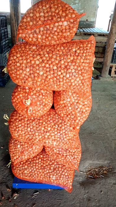 Arpagic calibru 13/15