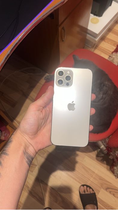 Iphone 12 pro max 256gb