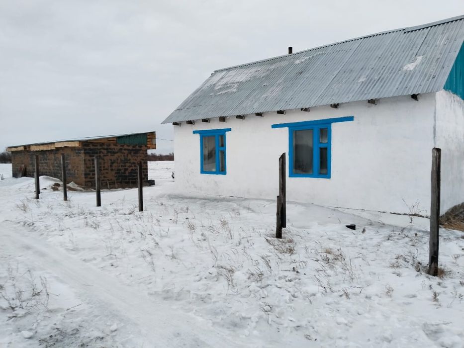 Ернур 8787Прадажа