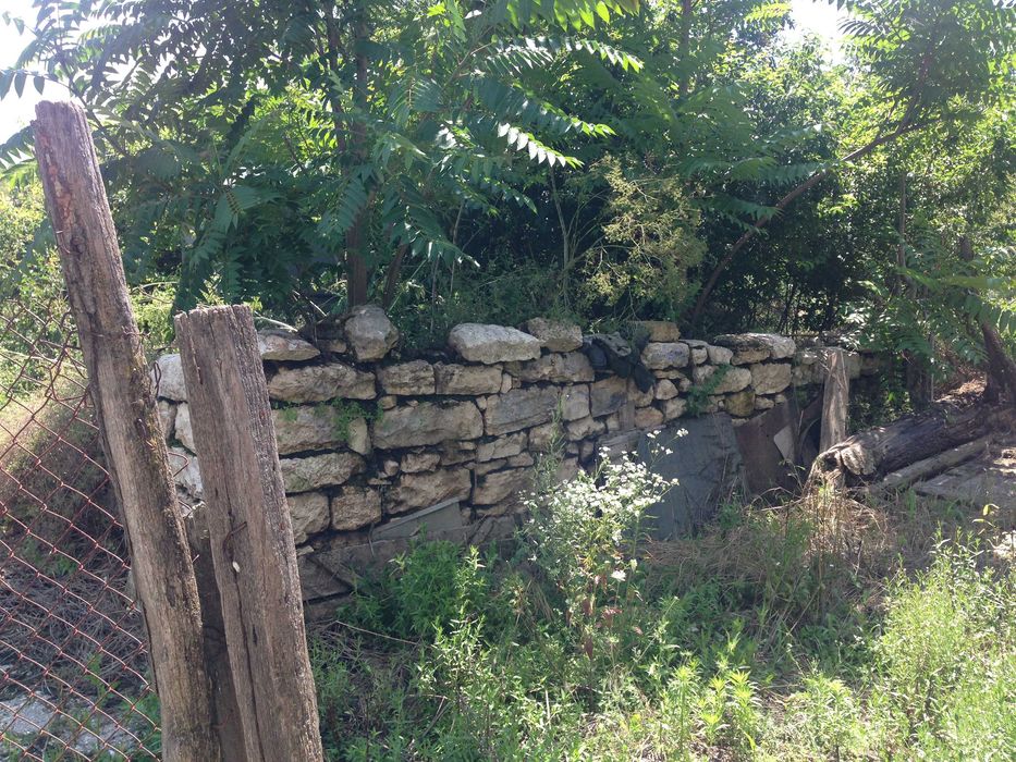 Къща с двор 1800 кв.м. в село Александрия област Добрич