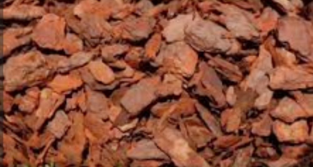 Мульча. Кора  сосны.