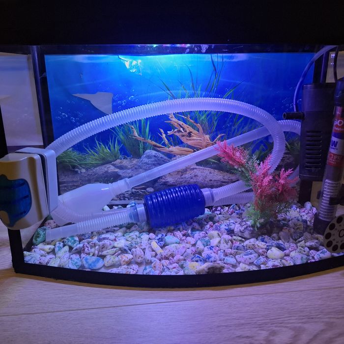 Аквариум для рыб