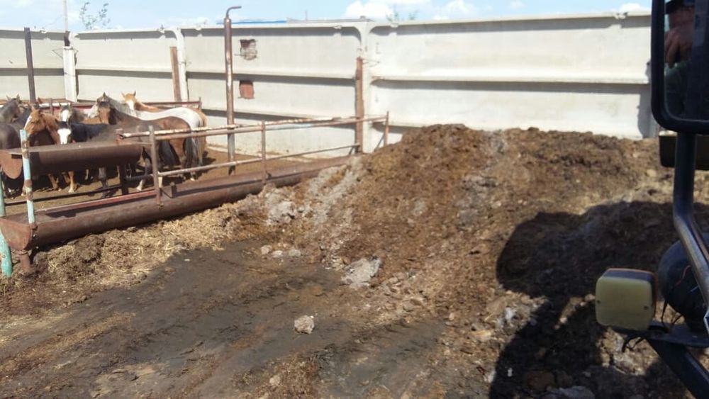 Чернозём перегной костанай