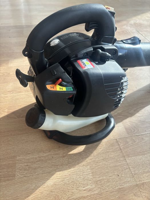 Suflanta frunze benzina