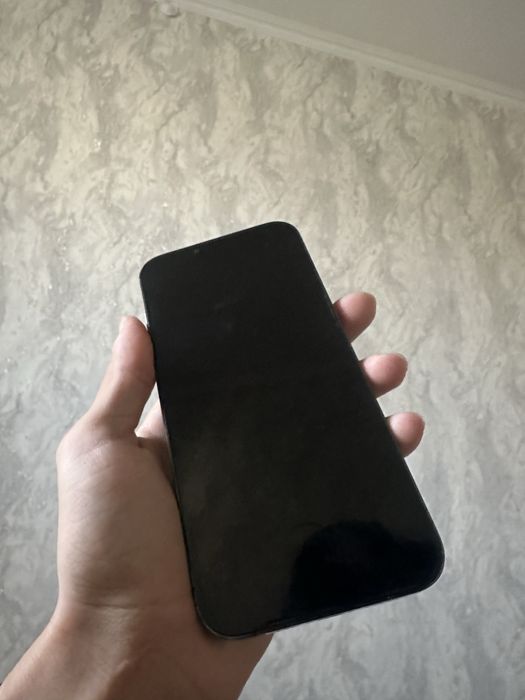 iPhone 13pro max