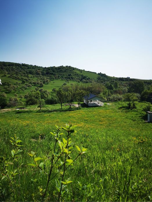 Teren intravilan, doua cabane A-Frame , filigorie, Bradu Bradu • OLX.ro