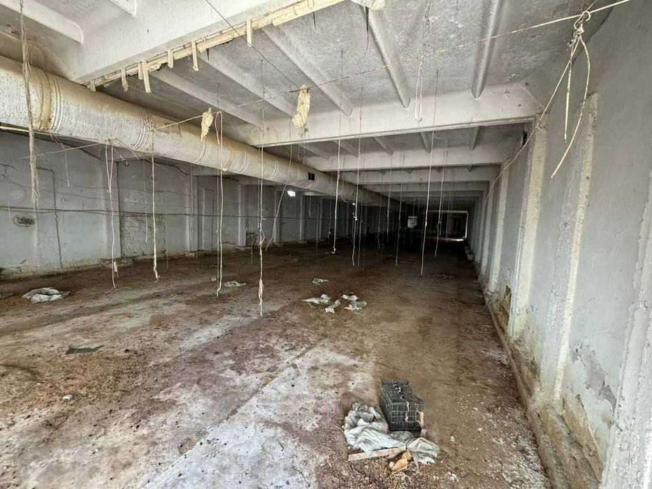 Продаётся  9 300 м² птицеферма.