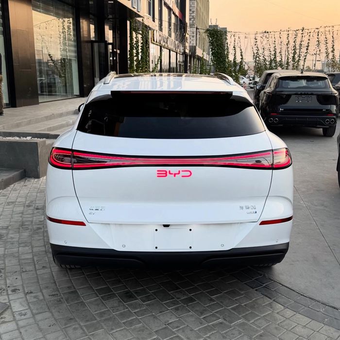 Byd selion 06 605 km smart