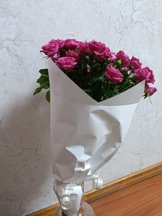 Продам цветы сегодняшние