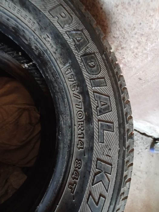 Жазғы дөңгелектер