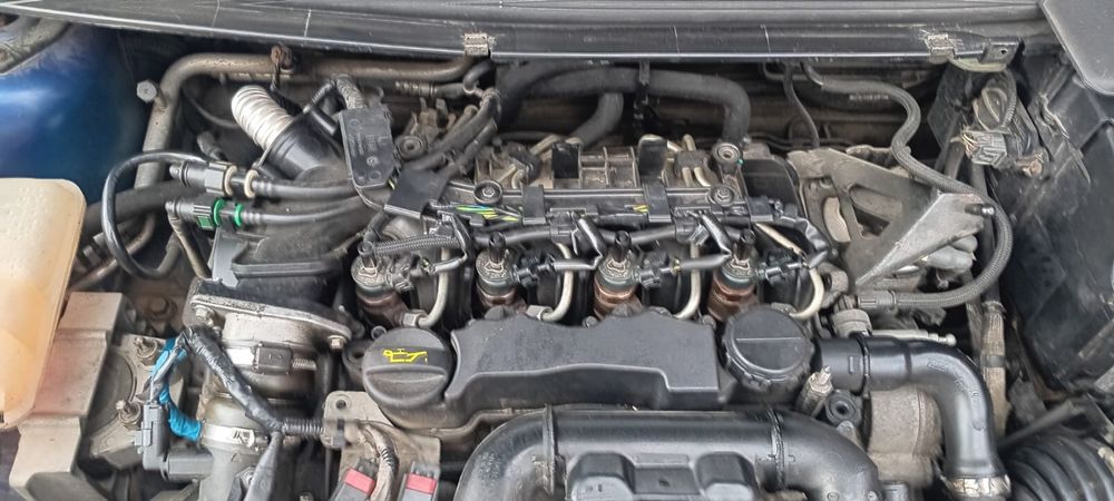 FORD Focus 2010 — imagine 4