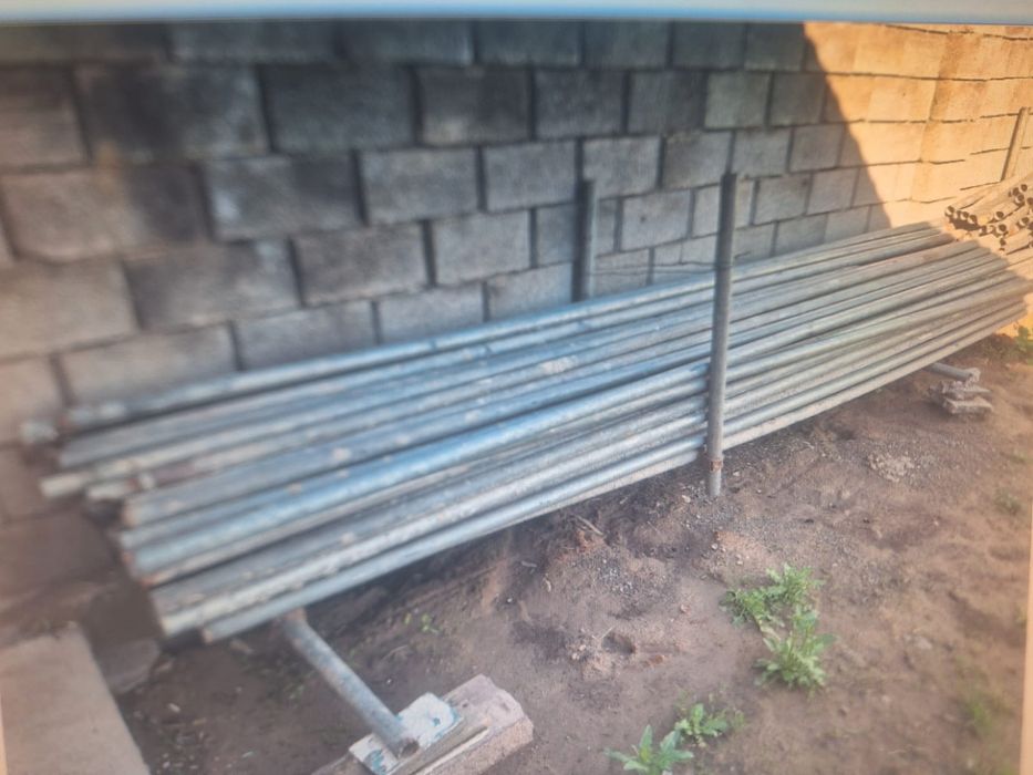 Лиса Продается  ппп