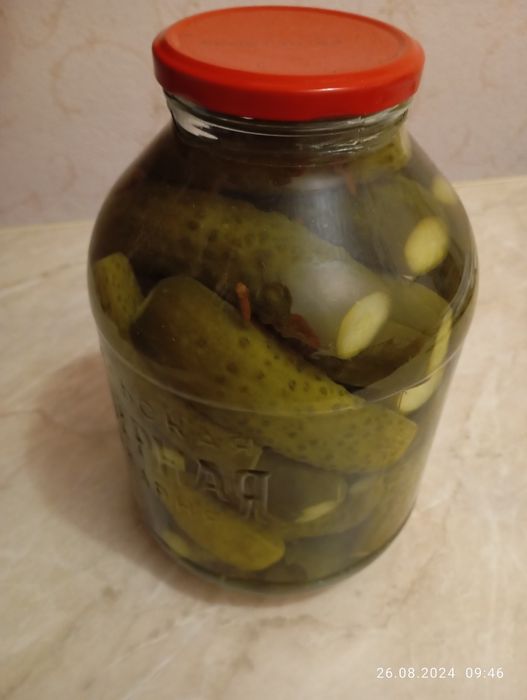 Огурцы свежий засол.