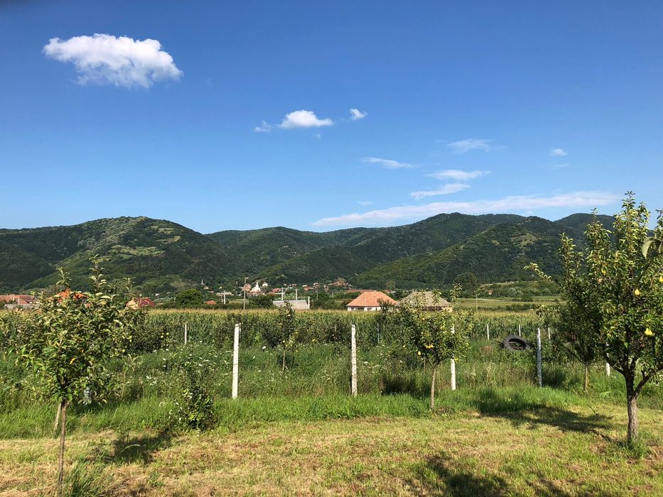 Teren intravilan