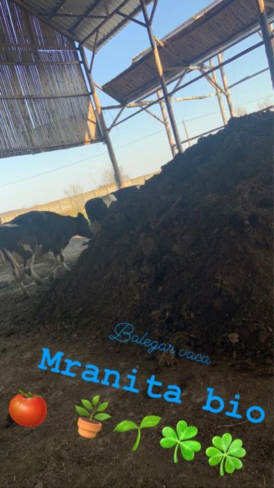 Mranita BIO (bălegar vaca)