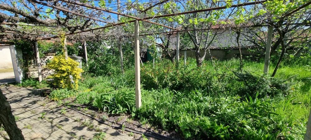 Продава се Къща в с. Голям чардак, Област Пловдив - 78 кв.м за 706 €/кв.м - Снимка #3