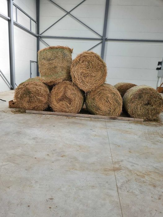 Vand baloti rotunzi de lucerna