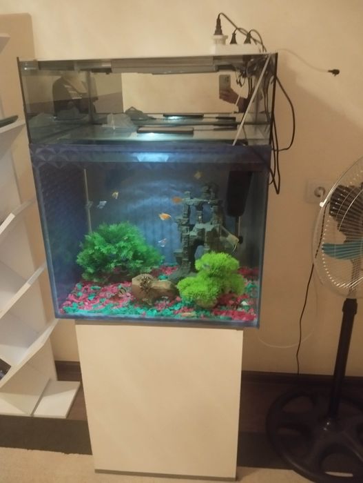 Аквариум хамма нарсаси билан