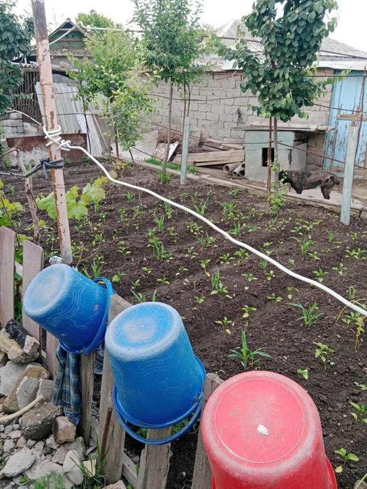 Yer sotiladi.Eski Sergeli.dakumenti bor