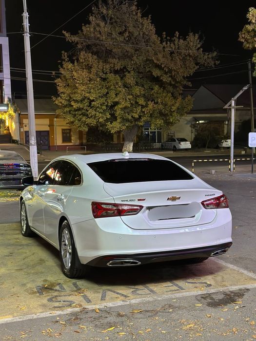 Malibu 2 Primer 2020 года