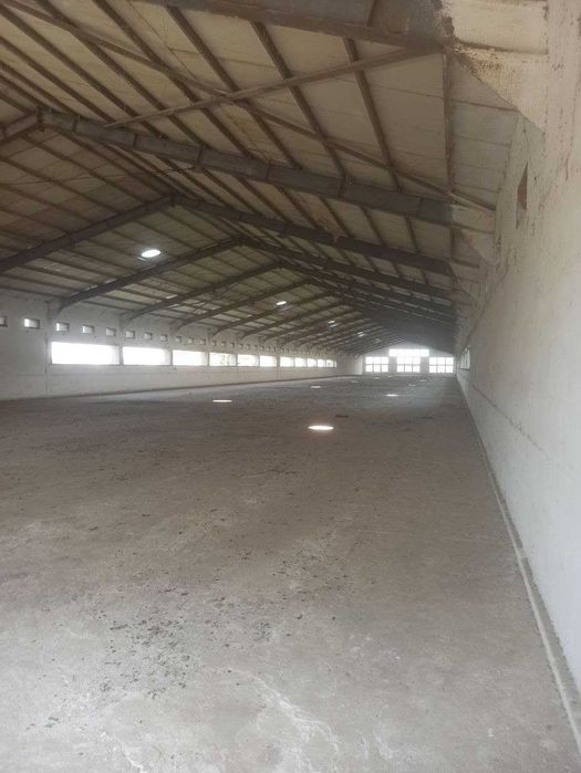 ХХХ продаётся склад  2,3 гектар 1,5 км от Food city