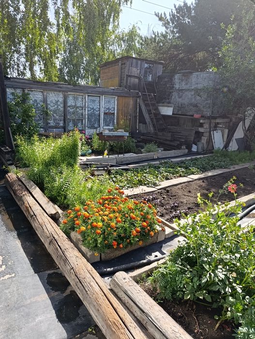 Продаю дачу в дачном обществе