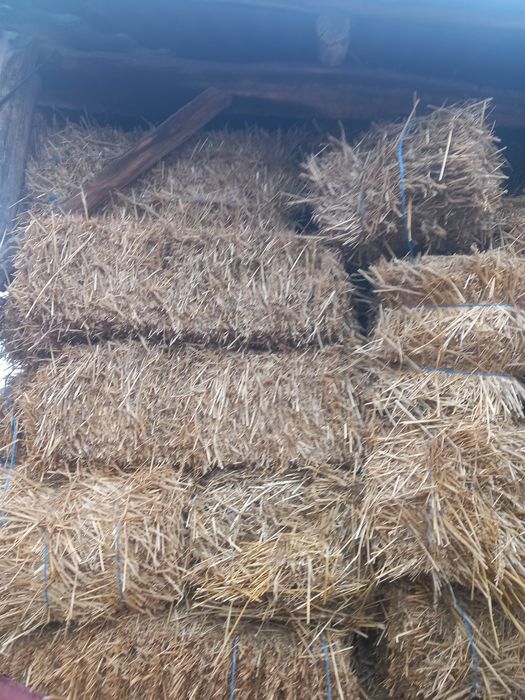 Baloti de paie de grau