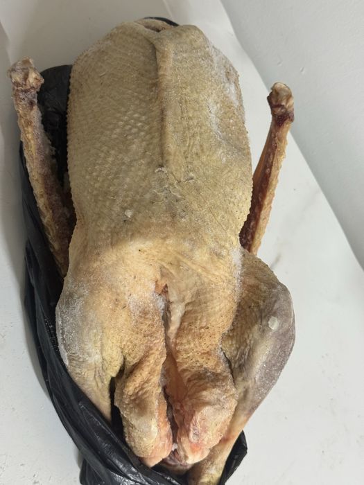 Продам мясо гуся